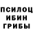Псилоцибиновые грибы Cubensis Nylrak