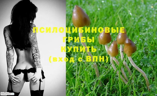 spice Абдулино