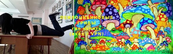 метадон Абаза