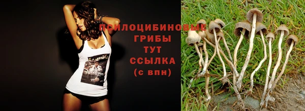 spice Абдулино